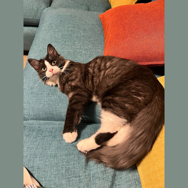 Photo of Zipper