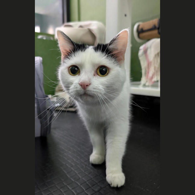 Photo of Storm