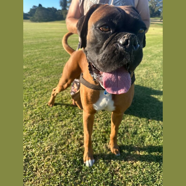 Photo of Tyson
