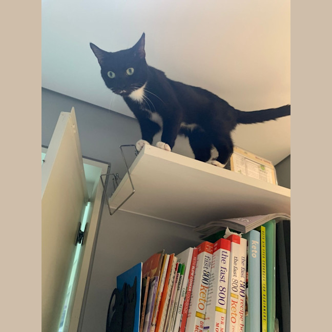 Photo of Sundae