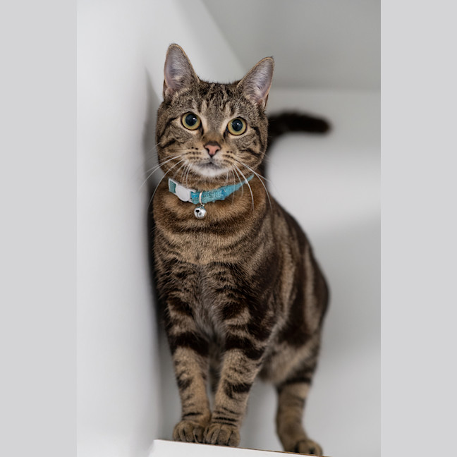Photo of Winnie
