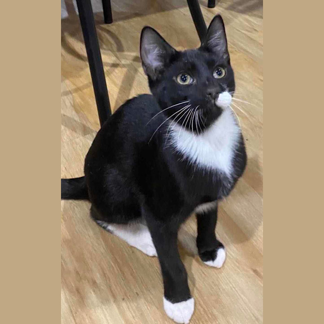 Photo of Chuppa Chup