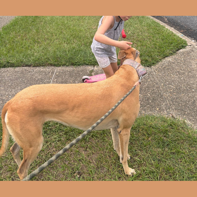 Photo of Sandy