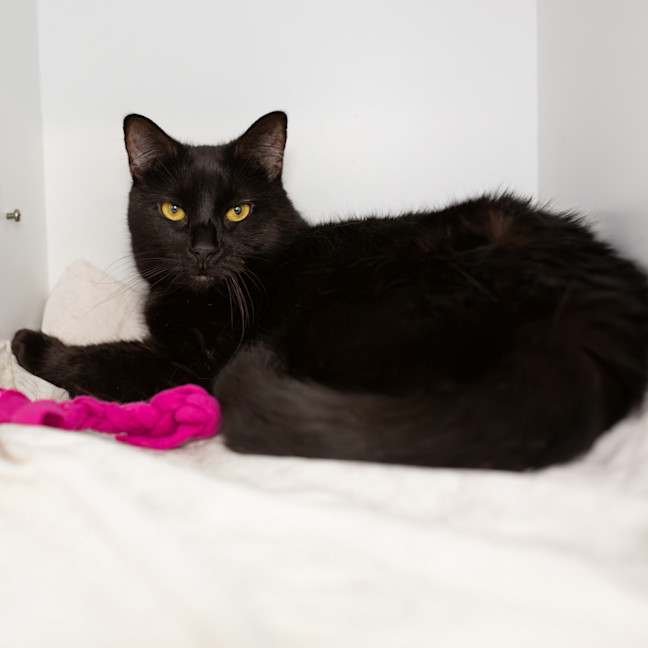 Photo of Bonnie