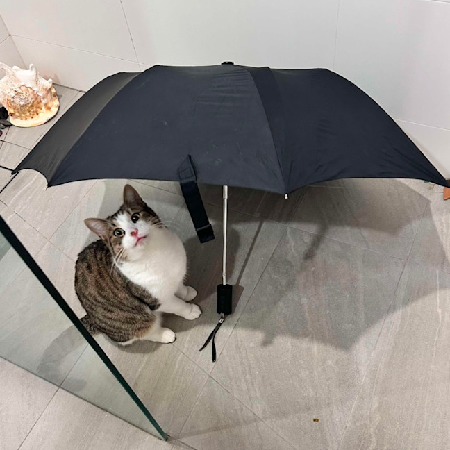 Photo of Lord Remington