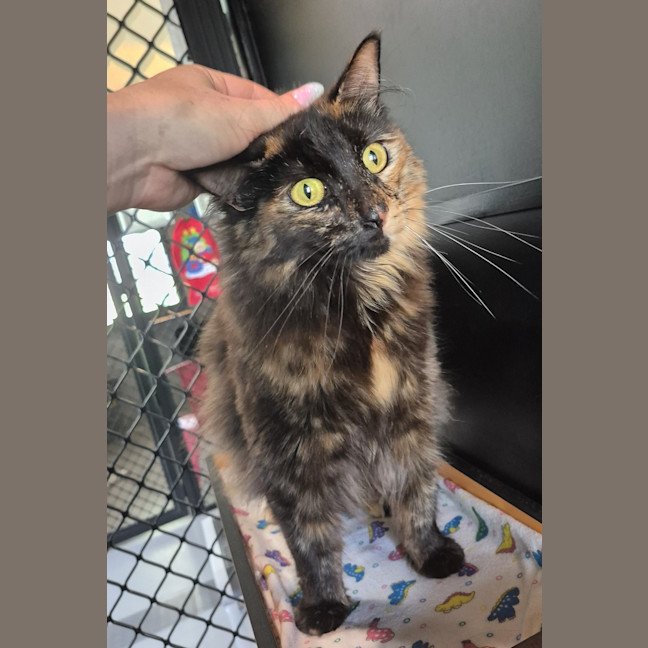 Photo of Sally