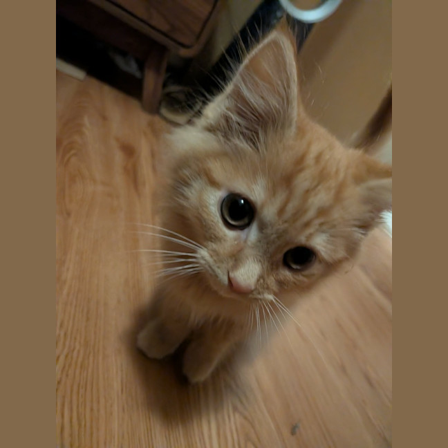 Photo of Bert