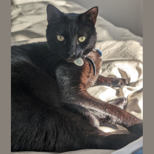 Photo of Kylo