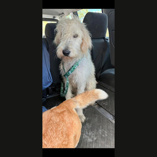 Photo of Falcor