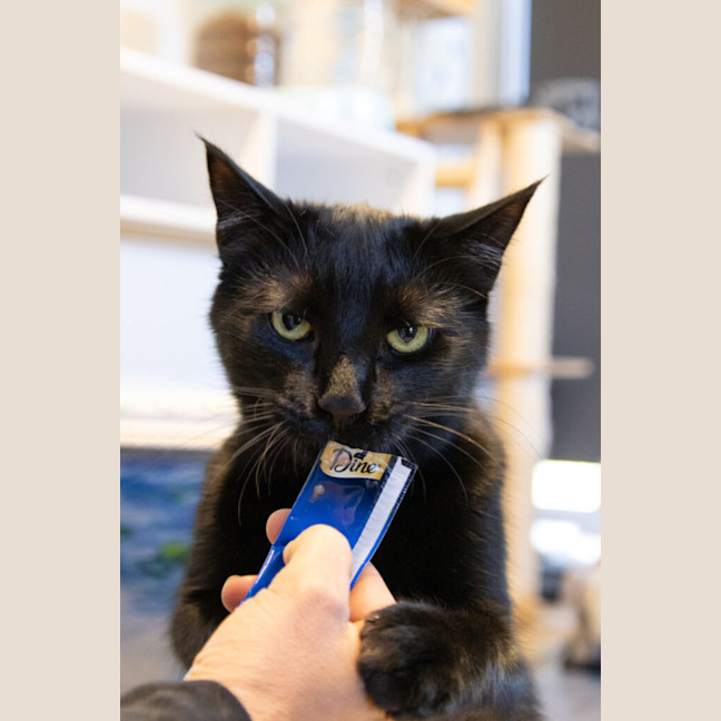 Photo of Miles Davis