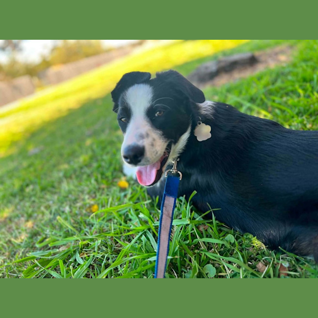 Photo of Kody