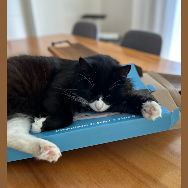 Photo of Thomas