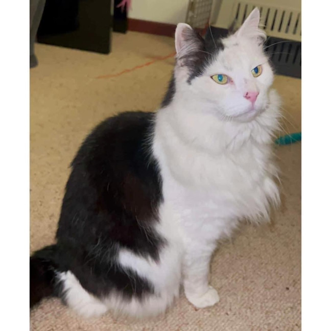 Photo of 11045   Jax