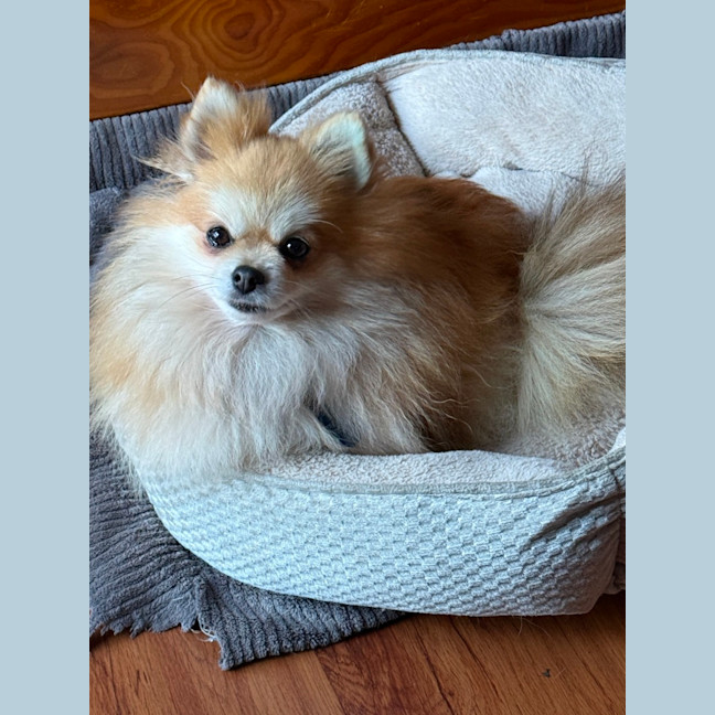 Photo of Zolita