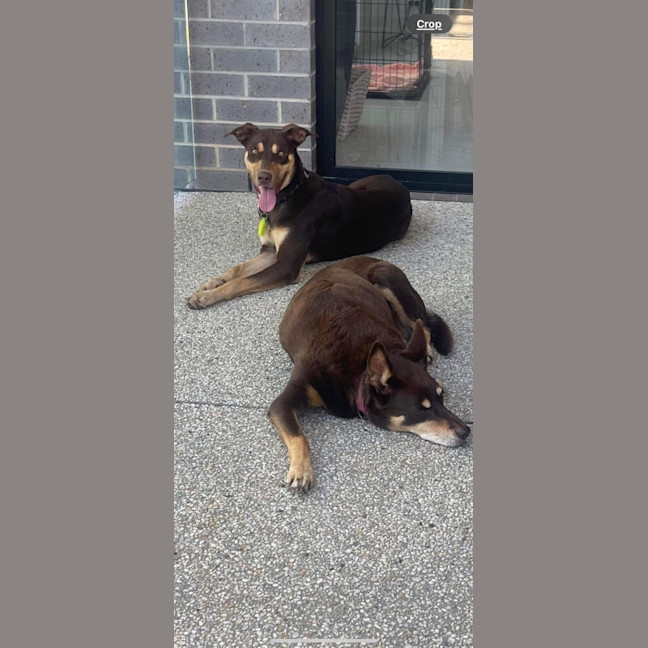 Photo of Fred Weasley