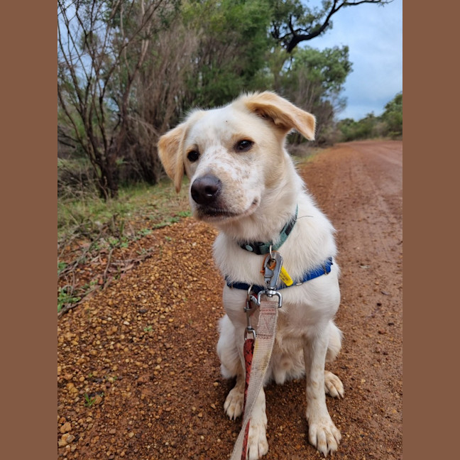 Photo of Atticus (Hiro)