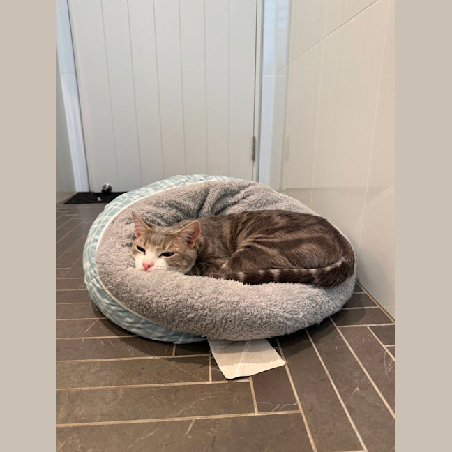 Photo of Emmie