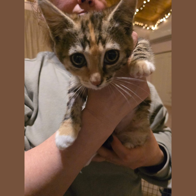 Photo of Enid Addams