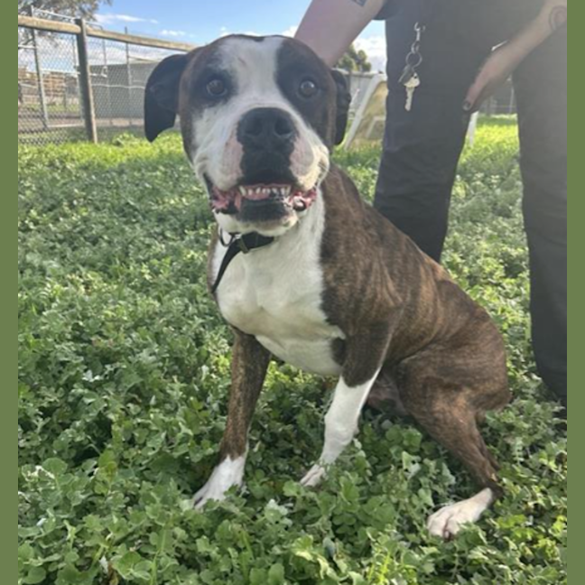 Photo of Tank