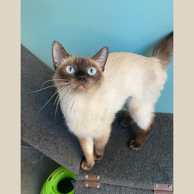 Photo of Kyah