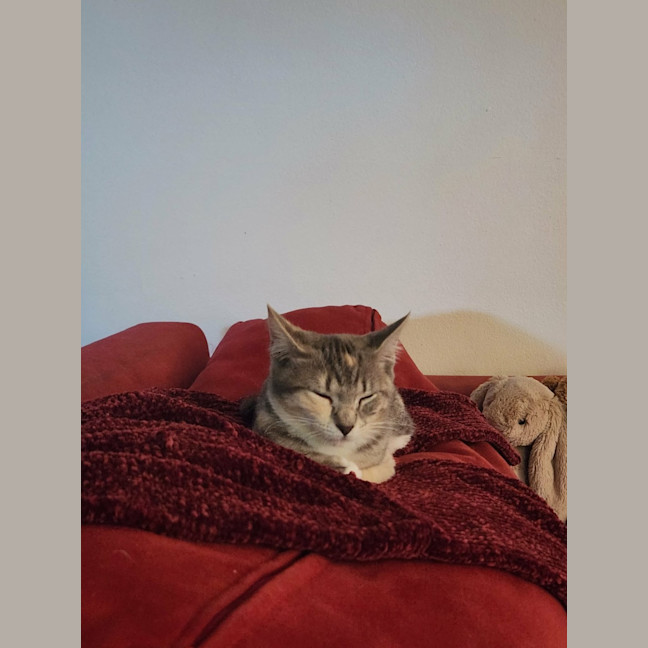 Photo of Elsie And Olive