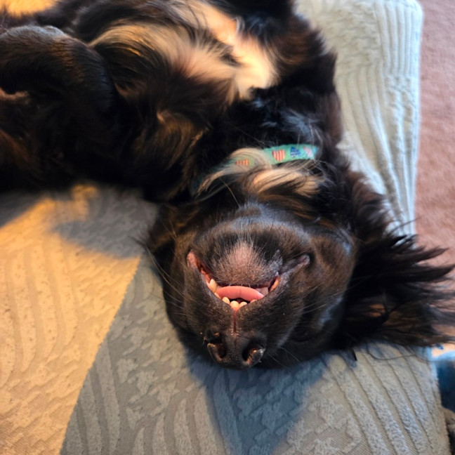 Photo of Roxy
