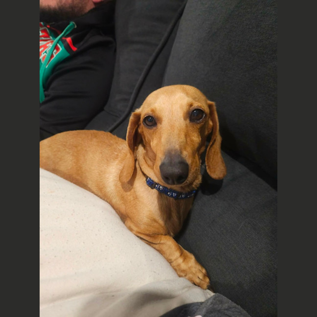 Photo of Honey