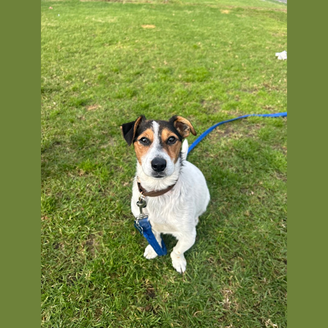 Photo of Benny