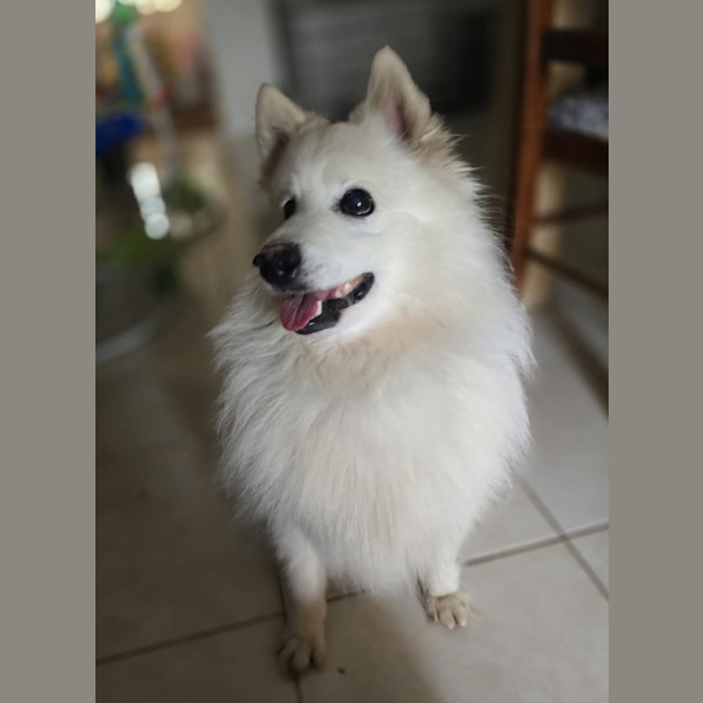 Photo of Noah