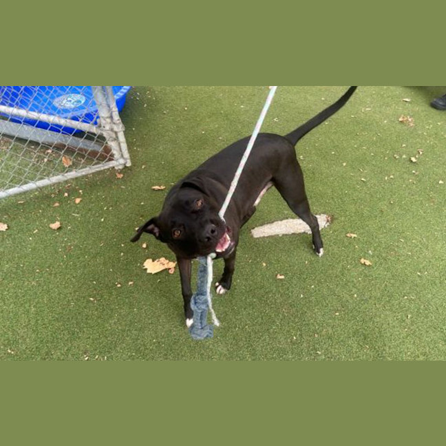 Photo of Jet