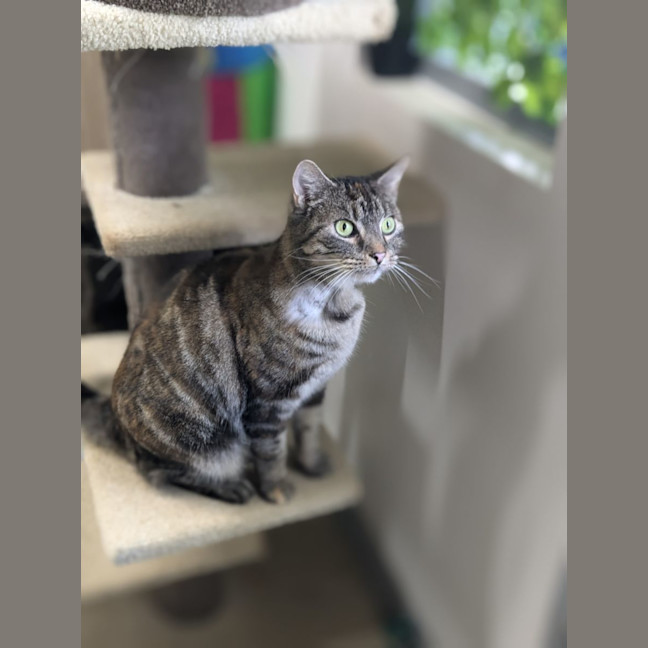 Photo of 🍧 Queenie 5290 🍧