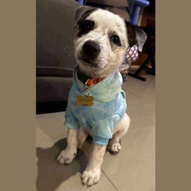 Photo of Bob