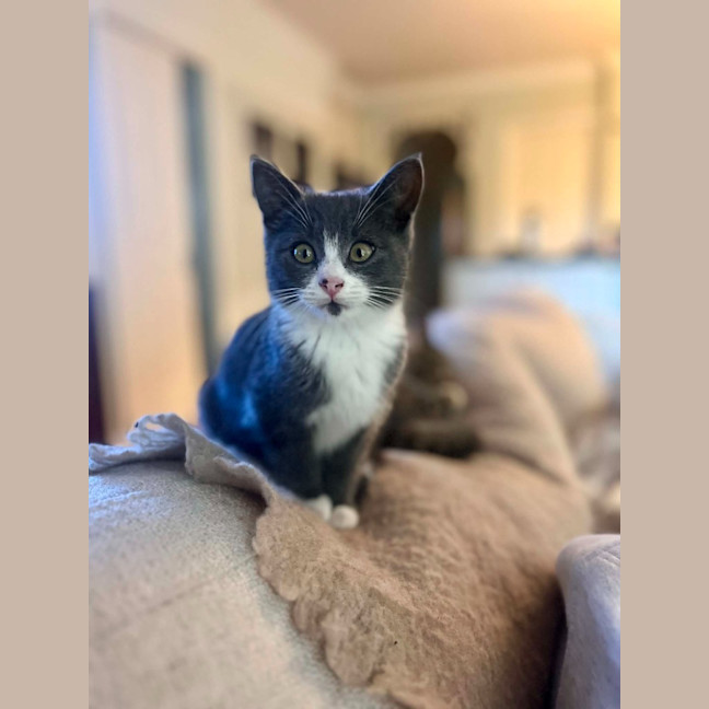 Photo of Gus