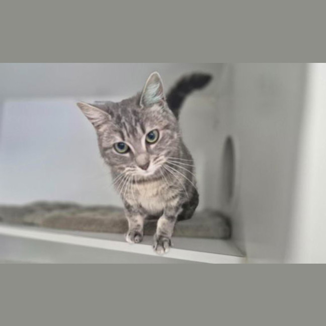Photo of Maggie