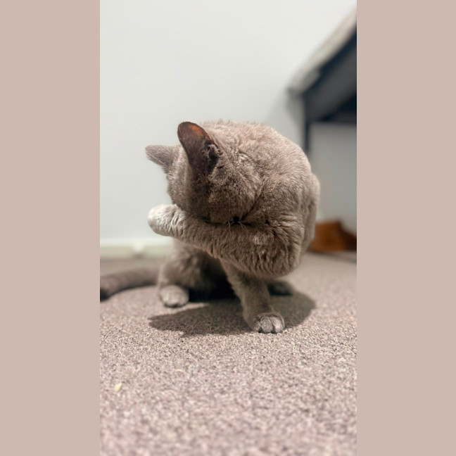 Photo of Crystal
