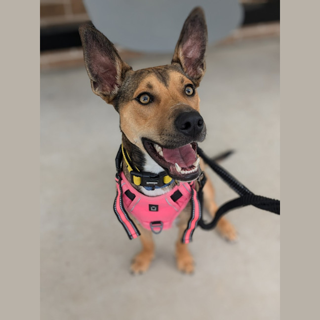 Photo of ⚽ Seamus 5707 ⚽