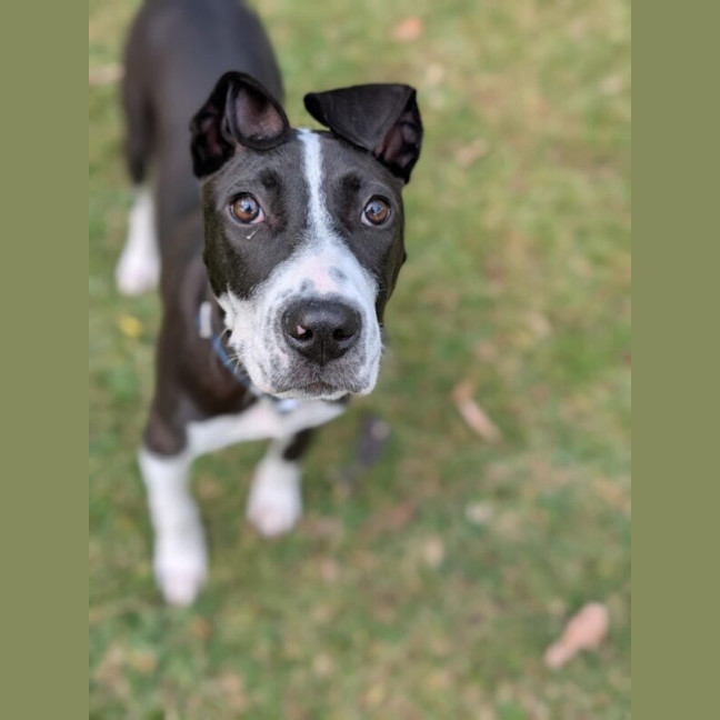 Photo of Beau Nee Sid