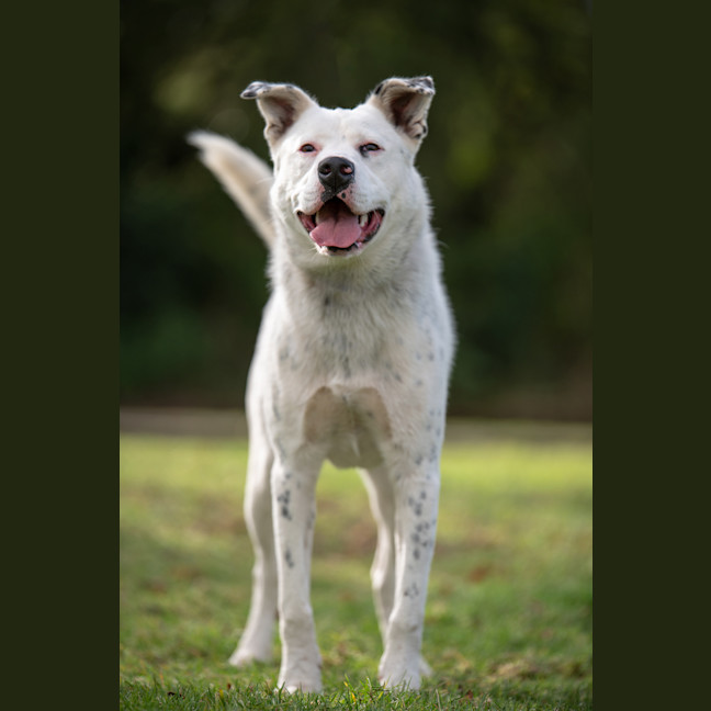 Photo of Breeze