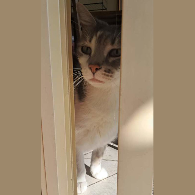 Photo of Marlow