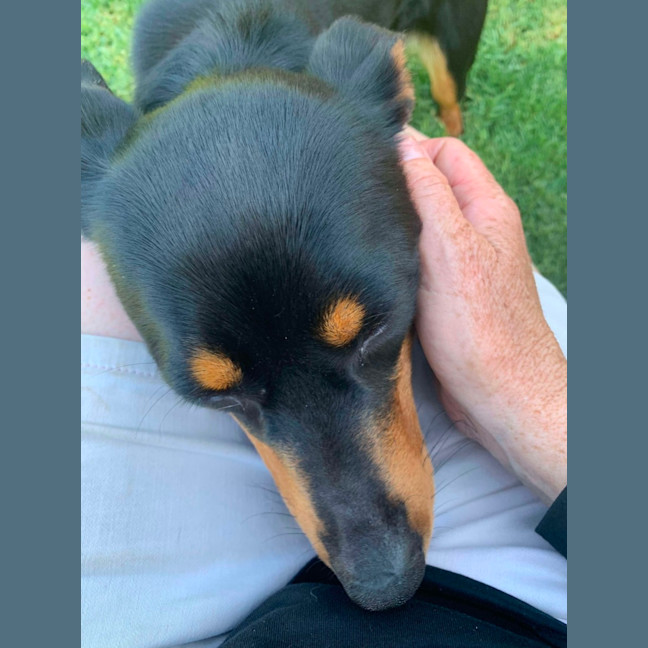 Photo of Maggie