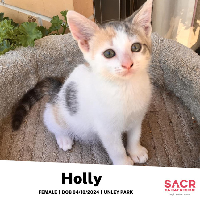 Photo of Holly