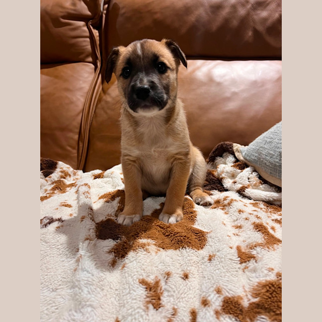 Photo of Athena 
