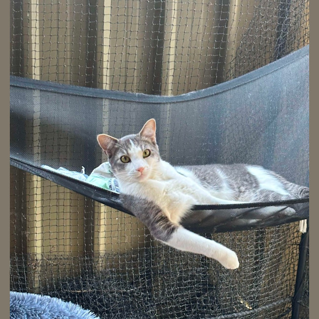 Photo of Joey And Munch 