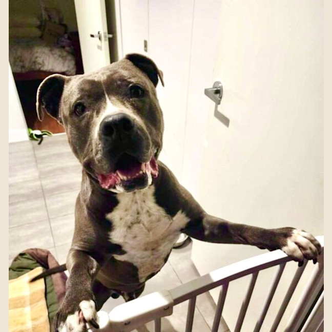 Photo of Ace