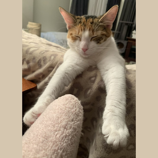 Photo of Dottie