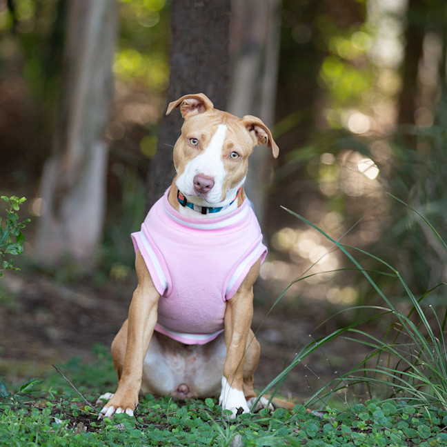 Photo of Bonnie