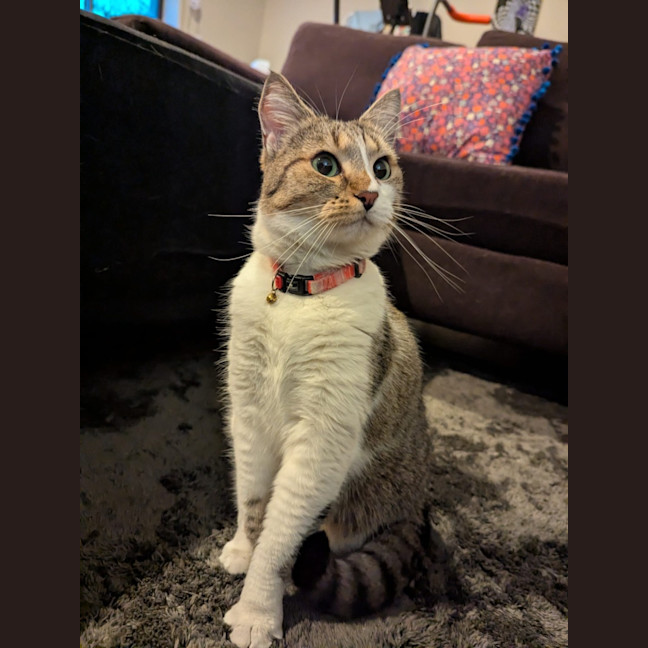 Photo of Kiara