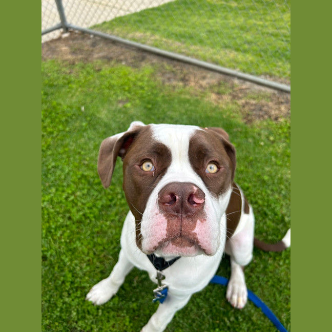 Photo of Kingston