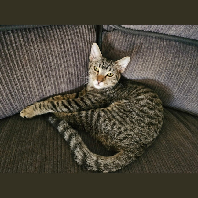 Photo of Azlan