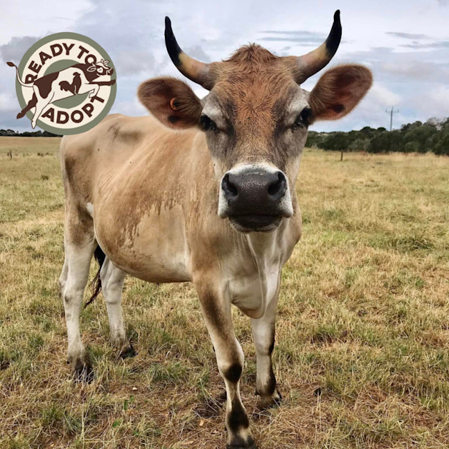 Photo of Daryl, Hank And Oscar